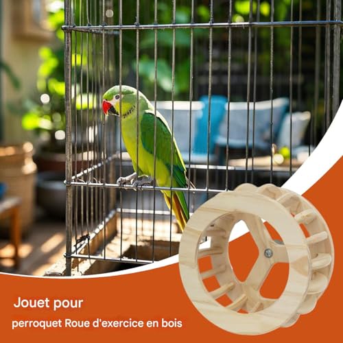 Jouet perchoir pour oiseaux en bois rotatif pour cage - 8
