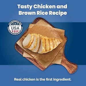 Blue Buffalo Life Safety Components Wholesome Weight Pure Small Breed Dry Canine Meals, Helps an Superb Weight, Made with Pure Components, Rooster & Brown Rice Recipe, 15-lb. Bag