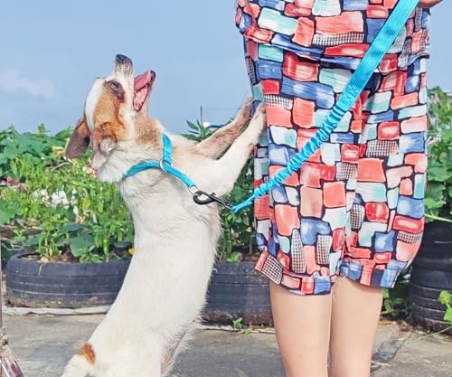 Mycicy Bungee Dog Leash Extender, 21\" Shock Absorbing Leash Extension with Traffic Handle for Dogs, Works with Any Lead, Reflective & 6 Colors- Turquoise - Thumbnail 6