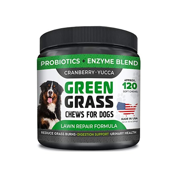 How Do You Make A Neutralizer For Dog Urine