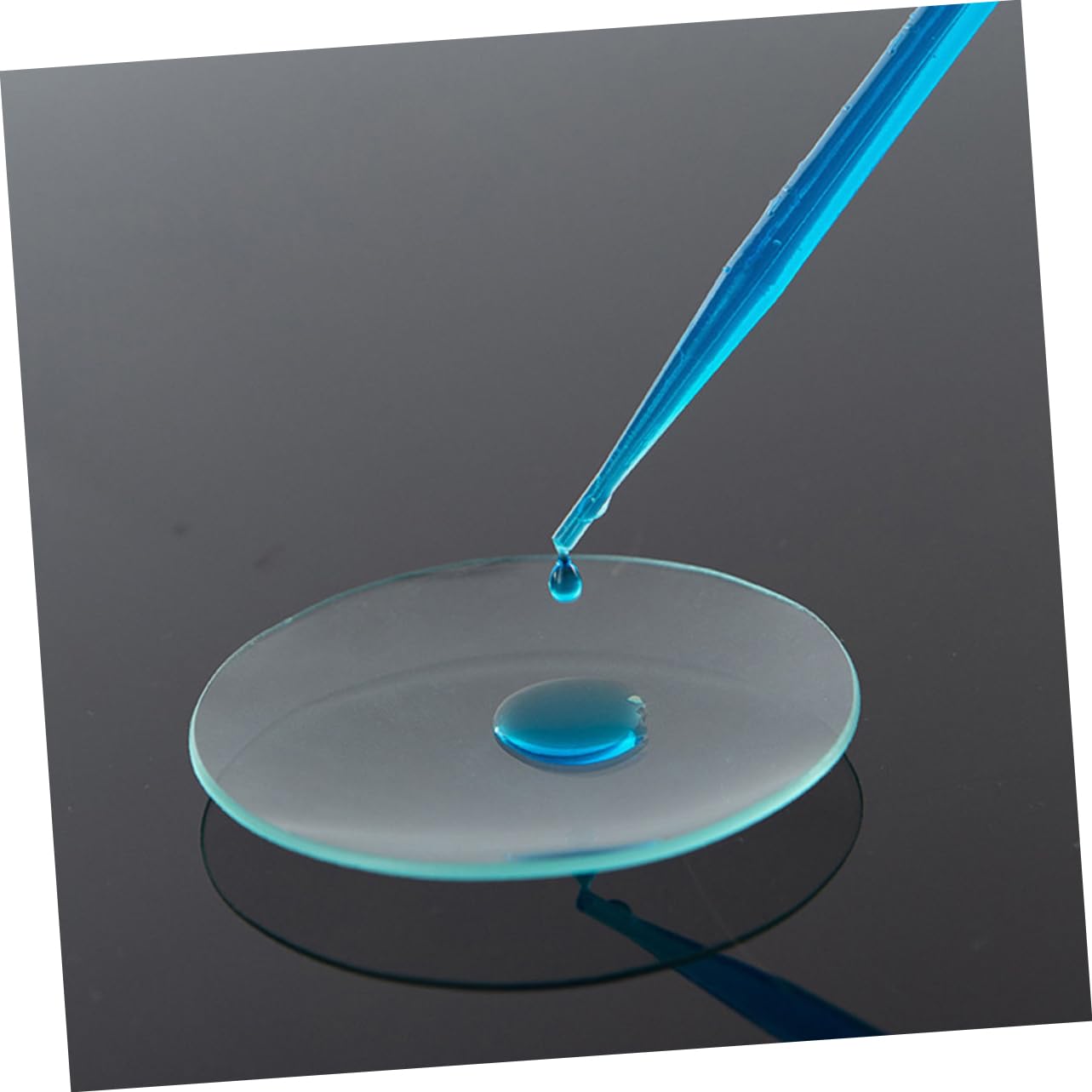 Sosoport 10pezzi Vetri Trasparenti Per Orologi Coperchi in Vetro Per Esperimenti Chimici Accessori Da Laboratorio Vetri Rotondi Per Orologi Coperchi Per Becher