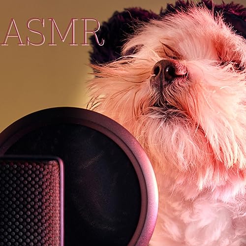 ASMR sonidos de masaje con micro en orejas |In ear mic experience