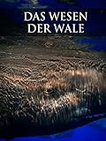  Das Wesen der Wale