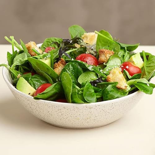 Eat Wholesome Roher Bio Apfelessig, mit der Essigmutter, Naturtrüb, unpasteurisiert & ungefiltert, für Veganer und Vegetarier geeignet, 1L