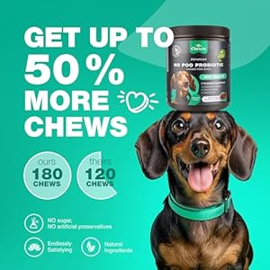 No Poo Chews for Dogs  Coprophagia Deterrent for Dogs  Dog Probiotics for Digestive Health  Forbid for Dogs Stool Eating Deterrent  Digestive Gut  Immune Health Treats  No Poop Eating for Dogs  Cucciolini Doodles No poo chews for dogs  coprophagia deterrent for dogs  dog probiotics for digestive health  forbid for dogs stool eating deterrent  digestive gut  immune health treats  no poop eating for dogs   cucciolini doodles