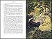 Little Women: Collectible Clothbound Edition (Abbeville Illustrated Classics)