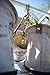 ABUS 55/60 Solid Brass Padlock with 2 Keys for School, Gym, 2 9/32in (60mm) Wide, Keyed Different
