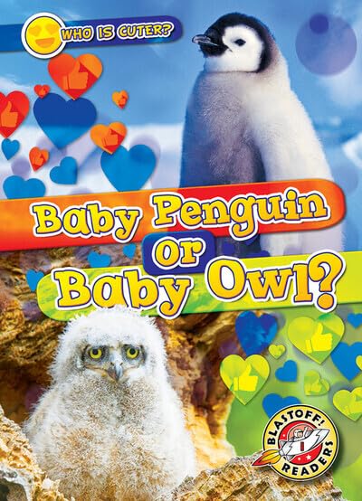Baby Penguin or Baby Owl? (Who Is Cuter?)