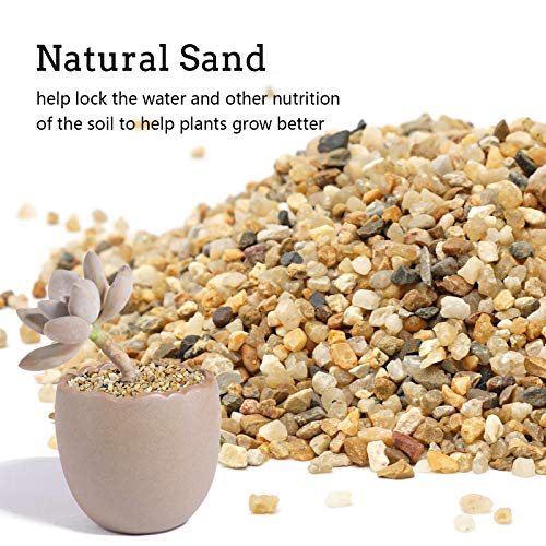 Image of 5 lb Coarse Sand Stone - Succulents and Cactus Bonsai DIY Projects Rocks, Decorative Gravel for Plants and Vases Fillers,Terrarium, Fairy Gardening, Natural Stone Top Dressing for Potted Plants.