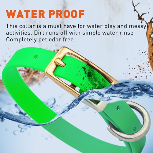 Image of Viper Biothane Heavy Duty Waterproof Dog Collar Strong Coated Nylon Webbing w /Solid Brass Hardware Odor-Proof Easy to Clean High Performance Fits Small Medium or Large Dogs, Tropical Green