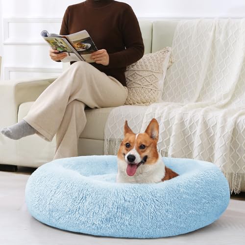 Image of JOLLYVOGUE Dog & Cat Bed, Calming Anti-Anxiety Pet Bed for Small Dogs, Fluffy Donut Cushion for Small and Medium Pets (20 inch)
