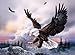Sunsout Spacious Skies 1500 Piece Jigsaw Puzzle by Sunsout