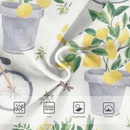 Wusikd Gray Bicycles Girls' Underwear Cotton Lemon Trees Girls Briefs Soft Toddler Underwear 2T3