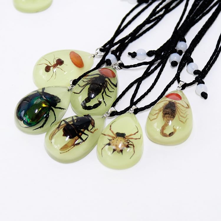 Caiyao Real Bug Necklace Real Insect Beetle Spider Scorpion Ant Taxidermy Animals Insect Collect Pendant Necklace Jewelry3