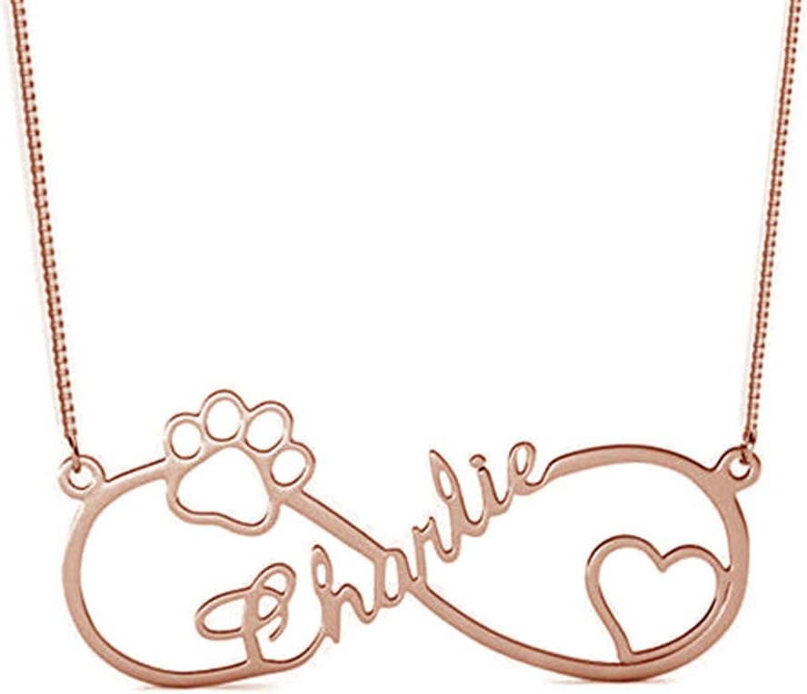 Personalized 925 Sterling Silver Dog Paw Infinity Necklace Custom Made with Any Name