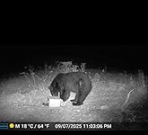 Review Image by Lrac77 Lrac77