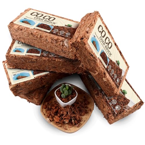 SUMLOTY Coco Chips