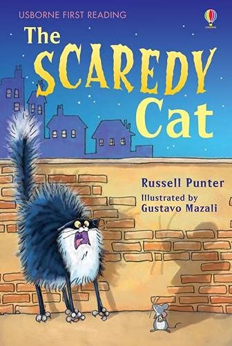 Usborne The Scaredy Cat