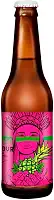 Cerveja Catharina Sour Abacaxi Com Hortelã Dama Bier 355ml