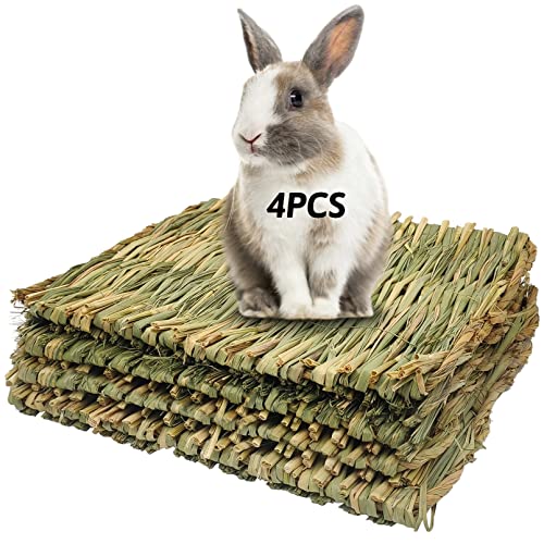 Opiniones de Alfombrillas de tejer los mejores 10. 43 Alfombra de césped para conejo, conejo, juguete para masticar, alfombrilla de cama tejida para conejillo de indias, chinchilla, ardilla, hámster, gato, perro y animal pequeño, 4...