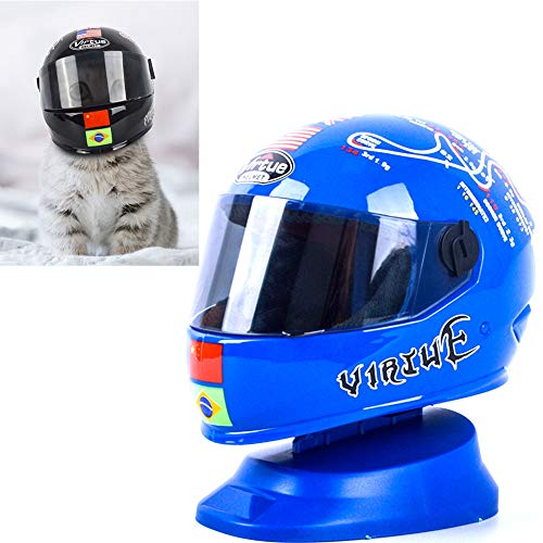 Casque vélo pour animal de compagnie lors de vos sorties outdoor