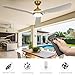 DWVO 56 Inch Ceiling Fans with Lights, Smart Ceiling Fan with APP and Remote Control, 3CCT Dimmable LED, 6-Speed Reversible Quiet DC Motor for Living Room, Bedroom, Dining Room - White