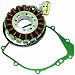 Caltric STATOR & GASKET Fits YAMAHA R1 YZFR1 W-FLAMES 2002 2003 MAGNETO & GASKET