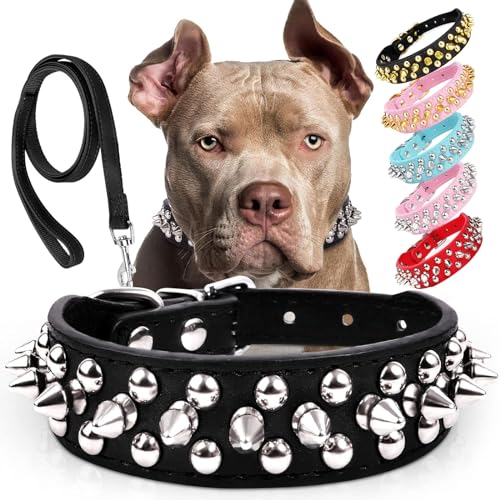 Epesiri Spiked Dog Collar with Leash
