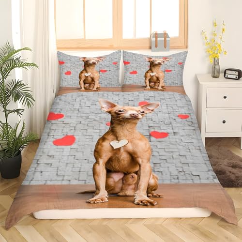 Housse de couette 240x260 avec fermeture éclair pour changer le lit facilement et sans effort