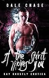 If the Spirit Moves You: Ghostly Gay Erotica