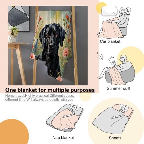 Couverture Polaire 240 x 260 Animal Chien, Couverture Polaire Grande Taille 240x260 cm | Usage Multiple comme Couette d'Appoint, Assure Une Protection Contre Le Froid I9-