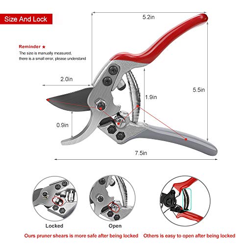 pozzolanas Pruning Shears, 7.5\" Professional Garden Shears Scissors Bypass Pruner Tree Branch Cutter Plant Trimming Scissors