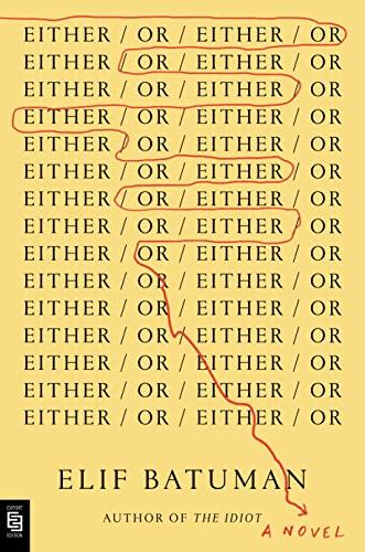 Either/Or: A Novel view 2
