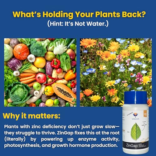 Image of Utkarsh Zinc - 12% EDTA Chelated, 100% Water Soluble Fertilizers for Plants, Micronutrient for Green Foliage, Home Garden, Plant Growth Booster | ZinGap (1 Kg; Pack of 1)