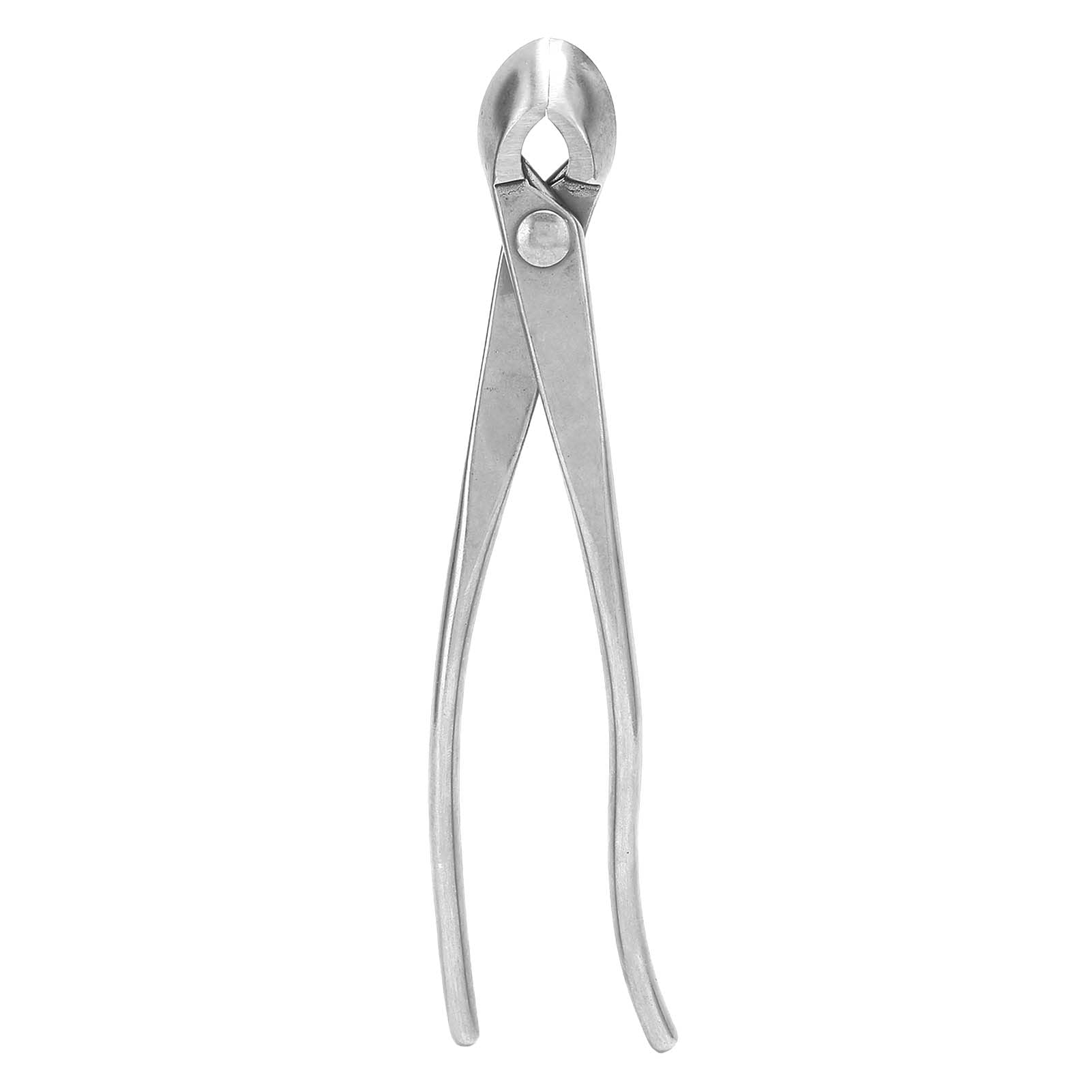 Strumento da Giardinaggio per Taglierina per Radici di Bonsai in Acciaio Inossidabile da 21 Cm/8,27 Pollici