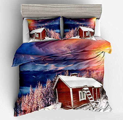 FANSU Parure de Lit Housse de Couette 2 Personne, 3 pièces Impression 3D Microfibre Hypoallergique avec Fermeture éclair Taies d'oreiller (220x240cm,Maison...