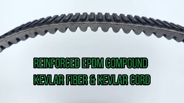 Amazon.com: 3211202/3211186 Carbon Fiber Drive Belt RZR for