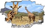 Giraffe Afrika Savanne TIer Wandtattoo Wandsticker Wandaufkleber C0286 Größe 70 cm x 110 cm