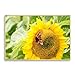 Produktbild adgkitb canvas Pflanze Blatt Blume Sonnenblume Schmetterling Leinwand Malerei Wand Kunstdruck Poster Wohnzimmer Schlafzimmer Dekoration Wandbild 2 58x90 cm KEIN Rahmen