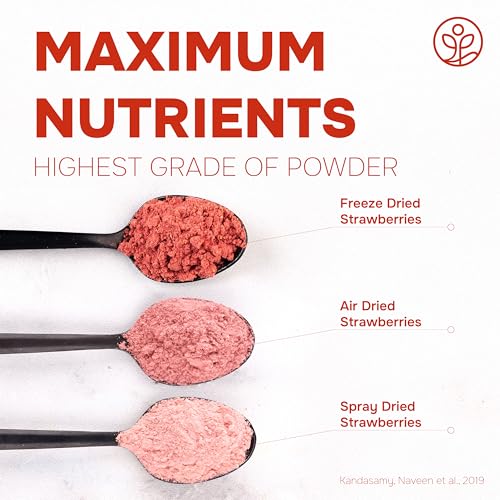 Jungle Powders Strawberry Powder Organic 5 Ounce Bag Freeze Dried Dehydrated Powdered Strawberries Strawberry Seasoning for Baking and Decorating Dry Fruit Extract