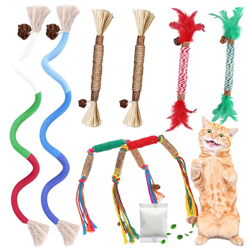 GBSYU Silvervine Sticks for Cats & Cat Chew Rope Toy with Refillable Natural Catnip Bag for Teeth Cleaning, Interactive Cat Catnip Toys for Indoor Cats, Kitten Teething Toys for All Breeds (8Pcs)