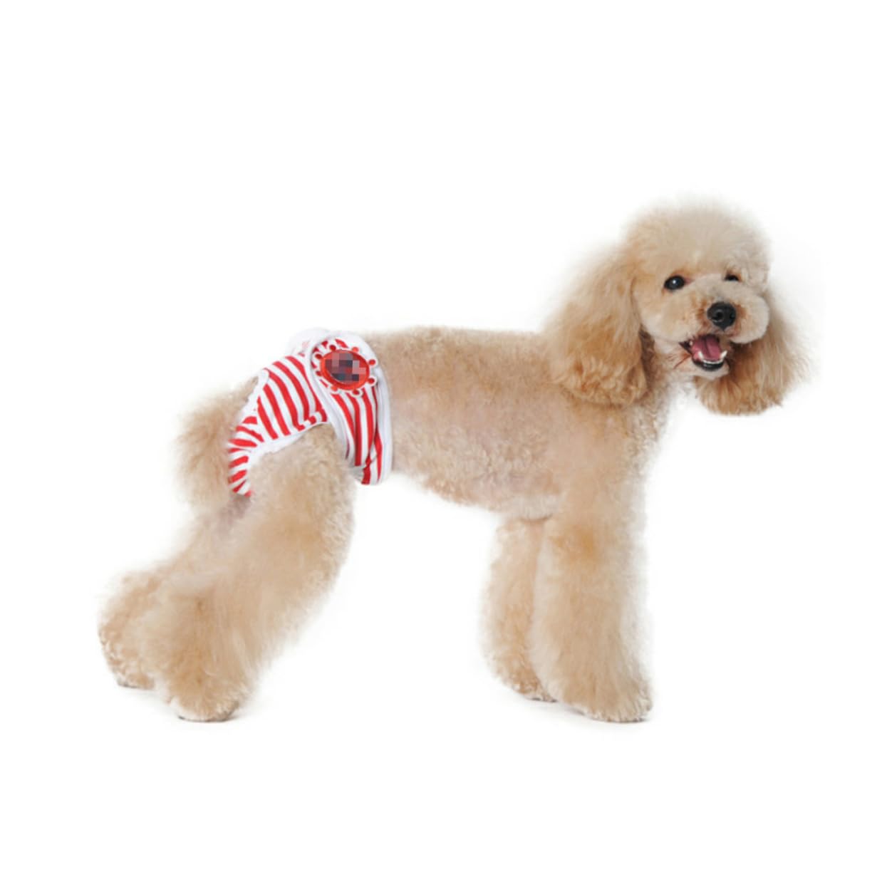 ibasenice Pet Safety Pants for Female Dogs Adjustable Stripe Pattern Dog Diapers for Menstruation Comfortable and Breathable Pet Diapers Red Floors and Home Furnishings