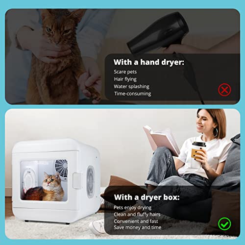 The 30 Best Hair Dryers For Dog of 2024 [Verified] Cherry Picks