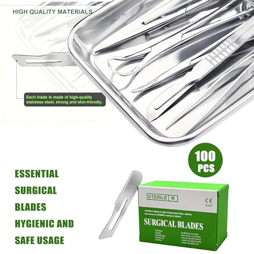 10R Dermaplaning Blades for Face, Sterile Surgical Stainless Steel Scalpel for Exfoliation & Peach Fuzz Removal, Individually Packed Box of 100, Professional Grade