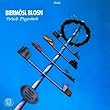 Biermoesl Blosn