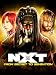 WWE: NXT: From Secret to Sensation
