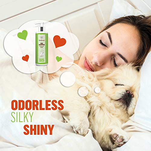 progroom dog shampoo