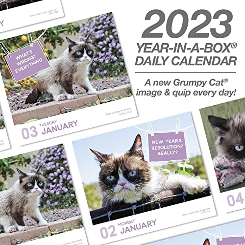 2023 Grumpy Cat Year-In-A-Box Calendar, 12 Months, 4-3/8" X 5" (Lmb2470023) #TOP5