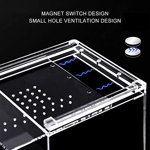 Naneezoo Magnetic Acrylic Reptile Cage, 6 Inchx6 Inchx9 Inch Tall Enclosure Transparent Reptile Breeding Box Terrarium Tank For Tarantula Scorpion Sling Isopods Invertebrates Insect Mantis thumb #1