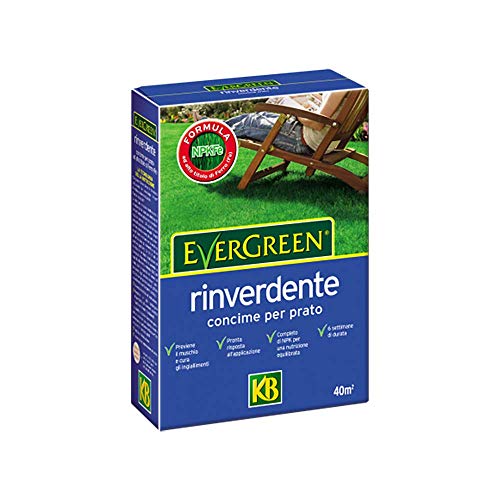 Evergreen CONCIME per Prato RINVERDENTE del Manto ERBOSO E Antistress kg.2